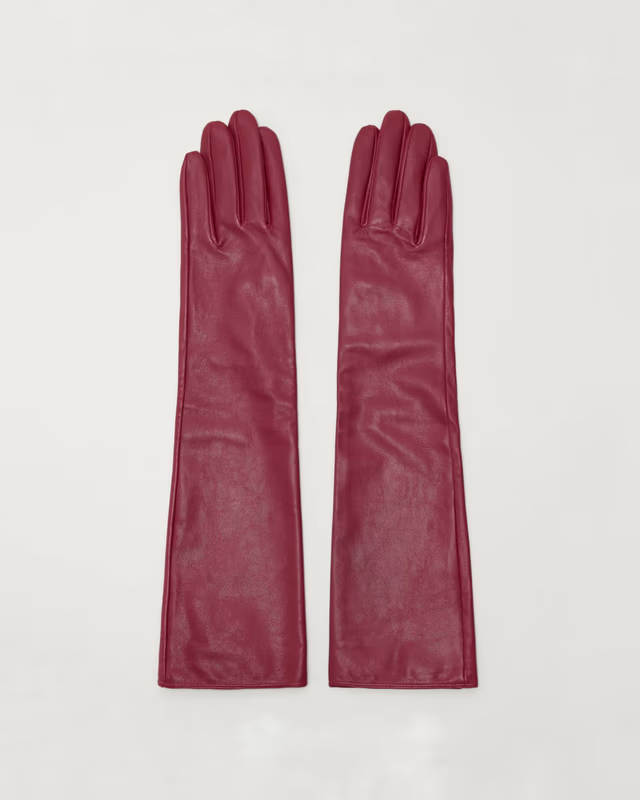 Длинные перчатки CHARUEL