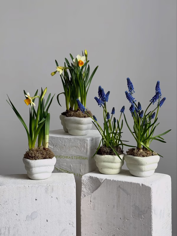 @girlwithflowers.msk